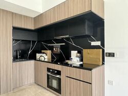 Irwell Hill Residences (D9), Apartment #470392721